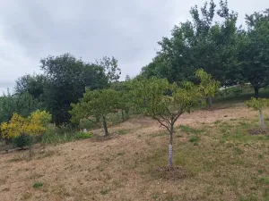 Prodej zahrady, Slatinky, 2889 m2