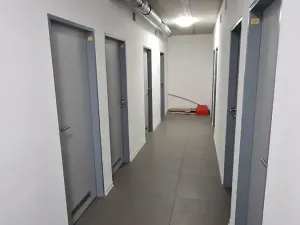 Pronájem bytu 1+kk, Plzeň, Sladová, 42 m2
