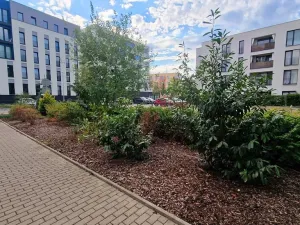 Pronájem bytu 1+kk, Plzeň, Sladová, 42 m2