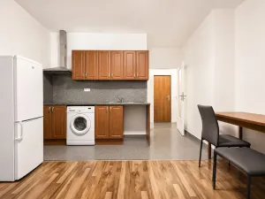 Pronájem bytu 1+kk, Praha - Vysočany, Freyova, 30 m2