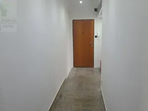 Pronájem bytu 3+1, Ostrava, Alšovo náměstí, 72 m2