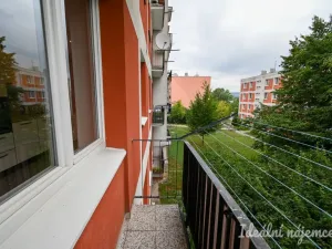 Pronájem bytu 2+kk, Brno, Družstevní, 53 m2
