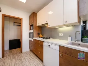 Prodej bytu 3+1, Plzeň - Doubravka, Ke Špitálskému lesu, 70 m2