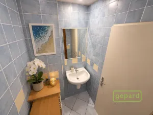 Pronájem obchodního prostoru, Praha, Bělehradská, 50 m2