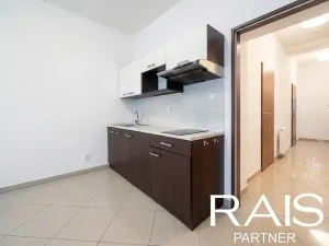 Prodej bytu 1+kk, Brno - Husovice, Svitavská, 35 m2