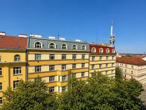Prodej bytu 3+1, Praha - Vinohrady, Orlická, 112 m2