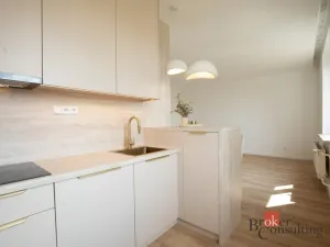 Pronájem bytu 1+kk, Opava - Předměstí, U Střelnice, 36 m2