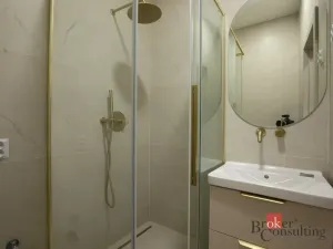 Pronájem bytu 1+kk, Opava - Předměstí, U Střelnice, 36 m2