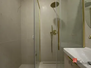 Pronájem bytu 1+kk, Opava - Předměstí, U Střelnice, 36 m2