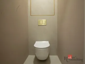 Pronájem bytu 1+kk, Opava - Předměstí, U Střelnice, 36 m2