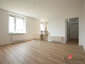 Pronájem bytu 1+kk, Opava - Předměstí, U Střelnice, 36 m2