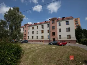 Pronájem bytu 1+kk, Opava - Předměstí, U Střelnice, 36 m2