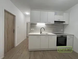 Pronájem bytu 2+1, Litvínov, Ruská, 53 m2