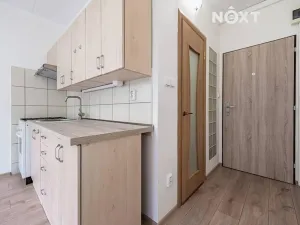 Pronájem bytu 1+1, Žatec, Volyňských Čechů, 36 m2