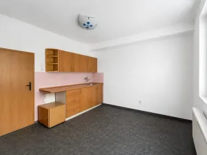 Prodej bytu 1+1, Ostrava - Zábřeh, Čujkovova, 28 m2