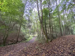 Prodej louky, Strážná, 212 m2