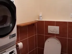 Pronájem bytu 2+kk, Praha, Kryšpínova, 52 m2