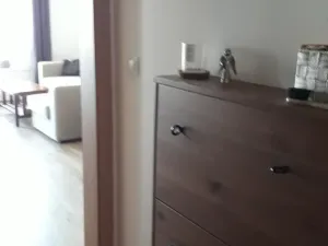 Pronájem bytu 2+kk, Praha, Kryšpínova, 52 m2