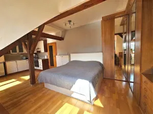 Pronájem bytu 1+kk, Praha - Vinohrady, Rejskova, 40 m2