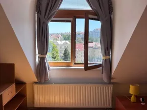 Pronájem bytu 1+kk, Praha - Vinohrady, Rejskova, 40 m2