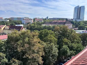 Pronájem bytu 1+kk, Praha - Vinohrady, Rejskova, 40 m2