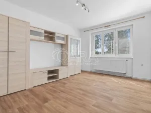Prodej bytu 3+1, Velký Osek, Revoluční, 68 m2