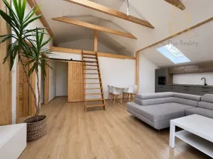 Pronájem bytu 3+kk, Brozany nad Ohří, Kozí, 90 m2
