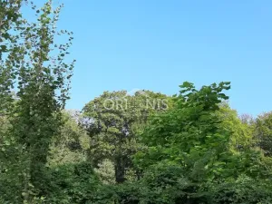 Prodej bytu 3+1, Česká Lípa, Boženy Němcové, 75 m2