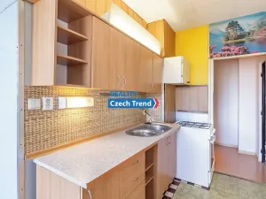 Pronájem bytu 1+1, Olomouc, Foerstrova, 43 m2