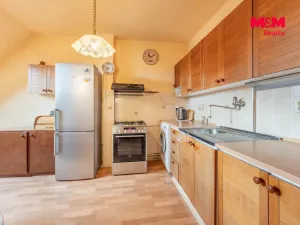 Prodej atypického bytu, Praha - Krč, Hornokrčská, 200 m2