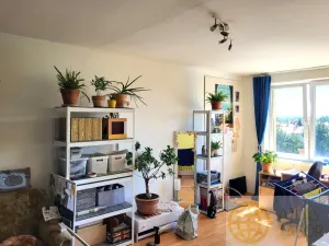 Prodej bytu 2+1, Tábor, Kpt. Jaroše, 64 m2