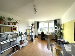Prodej bytu 2+1, Tábor, Kpt. Jaroše, 64 m2