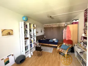 Prodej bytu 2+1, Tábor, Kpt. Jaroše, 64 m2