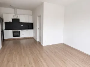 Pronájem bytu 2+kk, Most, Františka Halase, 42 m2