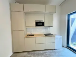 Pronájem bytu 1+kk, Praha - Smíchov, Pod Barvířkou, 48 m2