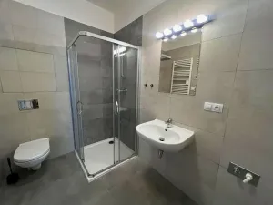 Pronájem bytu 1+kk, Praha - Smíchov, Pod Barvířkou, 48 m2