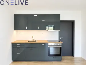 Pronájem bytu 1+kk, Zbůch, 29 m2