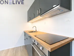 Pronájem bytu 1+kk, Zbůch, 32 m2