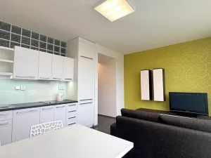 Pronájem bytu 2+kk, Brno, Vinařská, 55 m2