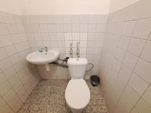 Pronájem skladu, Zlín, Masarykova, 180 m2