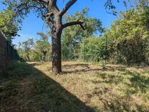 Prodej zahrady, Brno, 319 m2