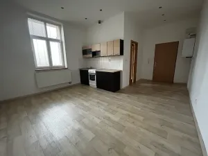 Pronájem bytu 1+kk, Ostrava, Nejedlého, 25 m2