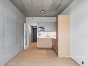 Pronájem bytu 1+kk, Praha - Vysočany, Kolbenova, 33 m2