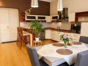 Pronájem bytu 3+kk, Mladá Boleslav, U cukrovaru, 150 m2