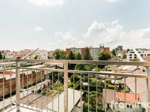 Pronájem bytu 2+1, Brno, Palackého třída, 70 m2