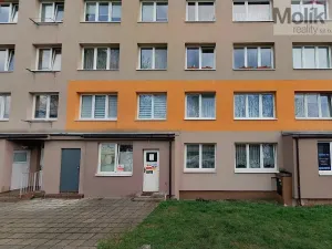 Prodej obchodního prostoru, Most, Šeříková, 39 m2