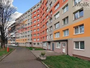 Prodej obchodního prostoru, Most, Šeříková, 39 m2