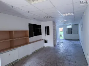 Prodej obchodního prostoru, Most, Šeříková, 39 m2