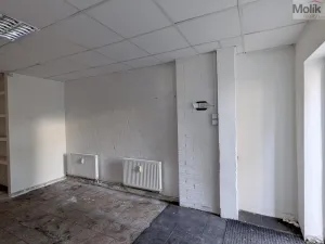 Prodej obchodního prostoru, Most, Šeříková, 39 m2