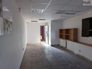 Prodej obchodního prostoru, Most, Šeříková, 39 m2